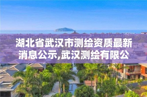 湖北省武汉市测绘资质最新消息公示,武汉测绘有限公司。