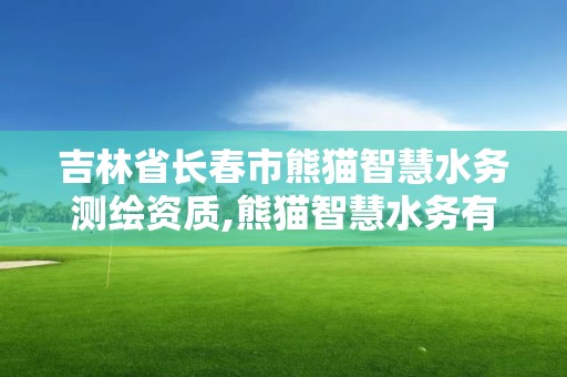 吉林省长春市熊猫智慧水务测绘资质,熊猫智慧水务有限公司武汉