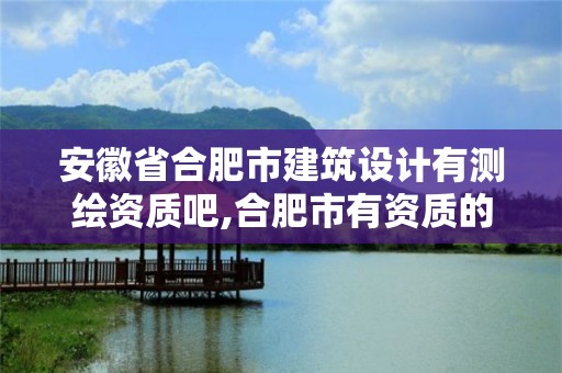 安徽省合肥市建筑设计有测绘资质吧,合肥市有资质的测绘公司。