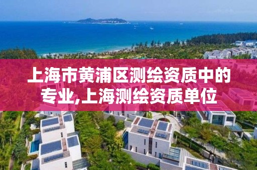 上海市黄浦区测绘资质中的专业,上海测绘资质单位