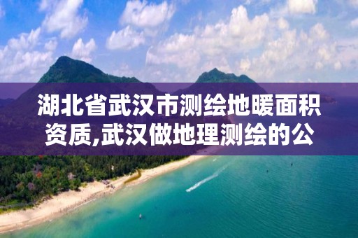 湖北省武汉市测绘地暖面积资质,武汉做地理测绘的公司