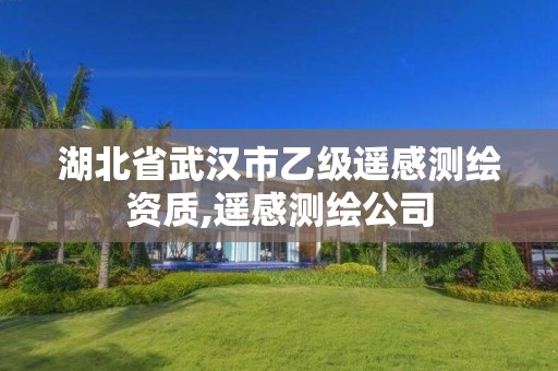 湖北省武汉市乙级遥感测绘资质,遥感测绘公司