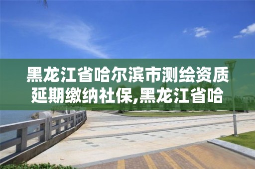 黑龙江省哈尔滨市测绘资质延期缴纳社保,黑龙江省哈尔滨市测绘局