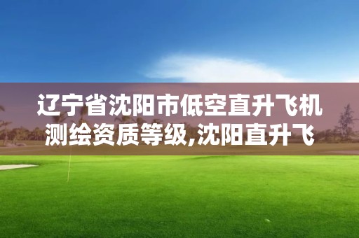 辽宁省沈阳市低空直升飞机测绘资质等级,沈阳直升飞机驾驶员培训。