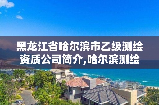 黑龙江省哈尔滨市乙级测绘资质公司简介,哈尔滨测绘局招聘信息