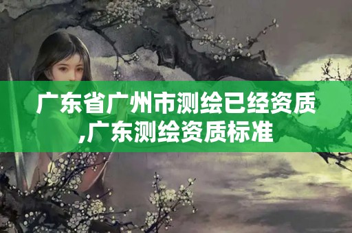 广东省广州市测绘已经资质,广东测绘资质标准