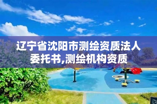 辽宁省沈阳市测绘资质法人委托书,测绘机构资质