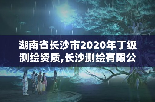 湖南省长沙市2020年丁级测绘资质,长沙测绘有限公司怎么样