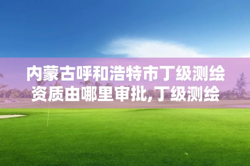 内蒙古呼和浩特市丁级测绘资质由哪里审批,丁级测绘资质申请人员条件。