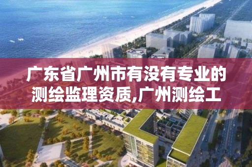 广东省广州市有没有专业的测绘监理资质,广州测绘工程公司。