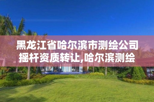 黑龙江省哈尔滨市测绘公司摇杆资质转让,哈尔滨测绘局是干什么的