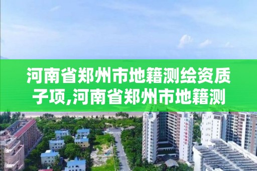 河南省郑州市地籍测绘资质子项,河南省郑州市地籍测绘资质子项目有哪些