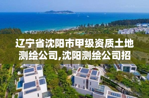 辽宁省沈阳市甲级资质土地测绘公司,沈阳测绘公司招聘信息最新招聘