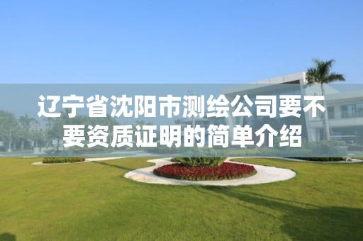 辽宁省沈阳市测绘公司要不要资质证明的简单介绍