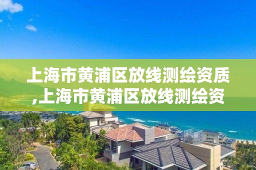 上海市黄浦区放线测绘资质,上海市黄浦区放线测绘资质企业名单