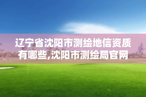 辽宁省沈阳市测绘地信资质有哪些,沈阳市测绘局官网