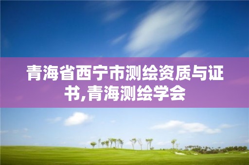 青海省西宁市测绘资质与证书,青海测绘学会