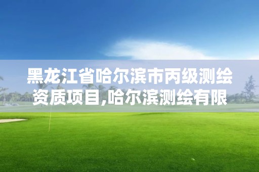 黑龙江省哈尔滨市丙级测绘资质项目,哈尔滨测绘有限公司