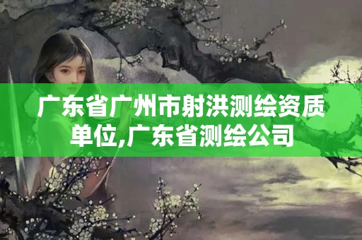 广东省广州市射洪测绘资质单位,广东省测绘公司