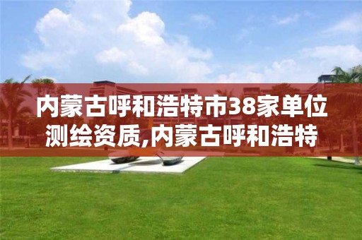 内蒙古呼和浩特市38家单位测绘资质,内蒙古呼和浩特市38家单位测绘资质公司