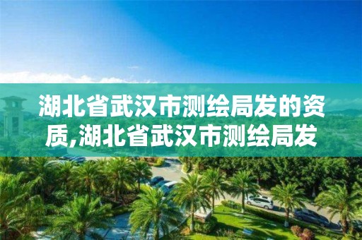 湖北省武汉市测绘局发的资质,湖北省武汉市测绘局发的资质是什么