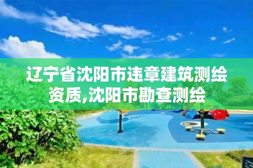 辽宁省沈阳市违章建筑测绘资质,沈阳市勘查测绘