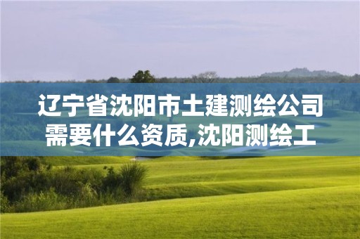 辽宁省沈阳市土建测绘公司需要什么资质,沈阳测绘工资。