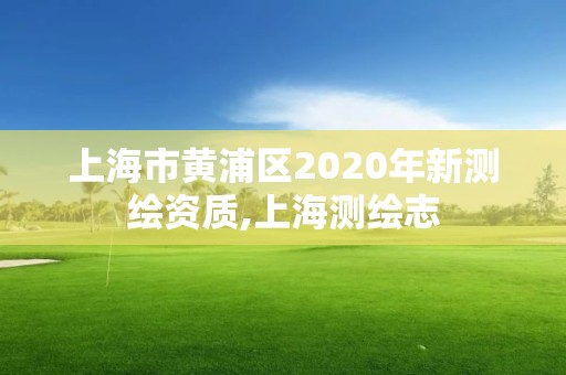 上海市黄浦区2020年新测绘资质,上海测绘志