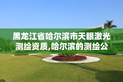 黑龙江省哈尔滨市天眼激光测绘资质,哈尔滨的测绘公司有哪些