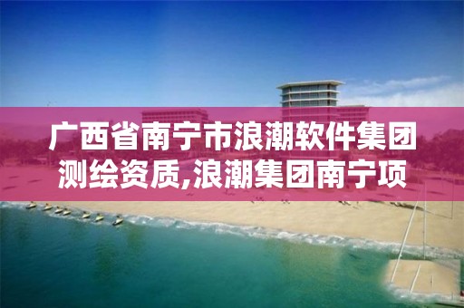 广西省南宁市浪潮软件集团测绘资质,浪潮集团南宁项目