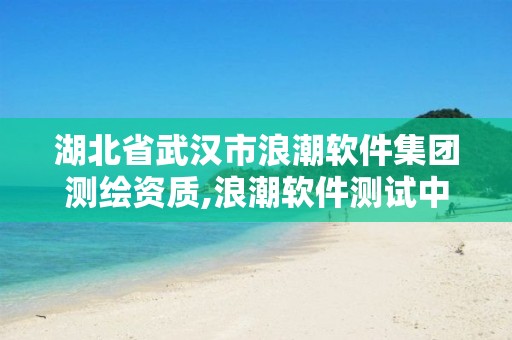 湖北省武汉市浪潮软件集团测绘资质,浪潮软件测试中心