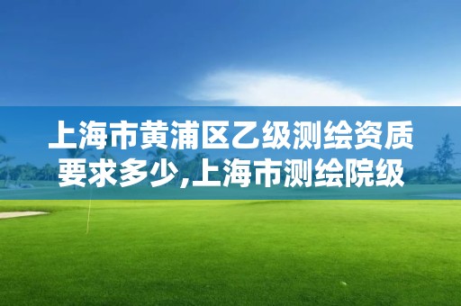 上海市黄浦区乙级测绘资质要求多少,上海市测绘院级别