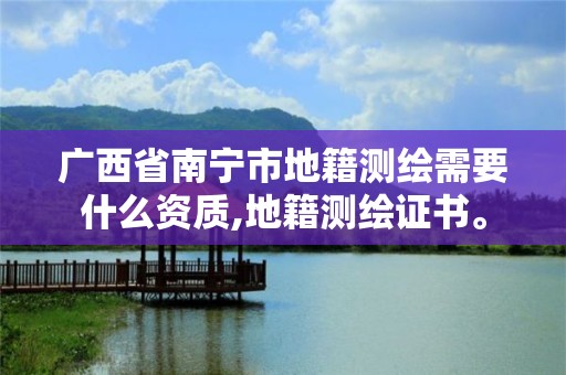 广西省南宁市地籍测绘需要什么资质,地籍测绘证书。