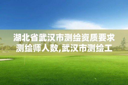 湖北省武汉市测绘资质要求测绘师人数,武汉市测绘工程技术规定