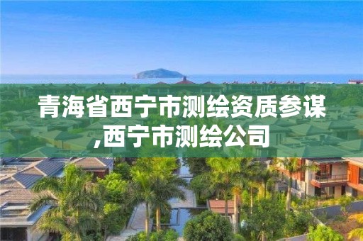 青海省西宁市测绘资质参谋,西宁市测绘公司