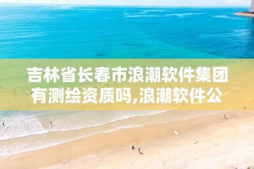 吉林省长春市浪潮软件集团有测绘资质吗,浪潮软件公司地址。