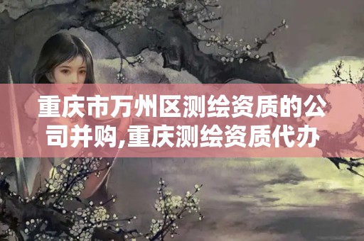 重庆市万州区测绘资质的公司并购,重庆测绘资质代办