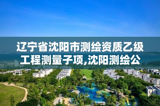 辽宁省沈阳市测绘资质乙级工程测量子项,沈阳测绘公司哪家强哪家好。