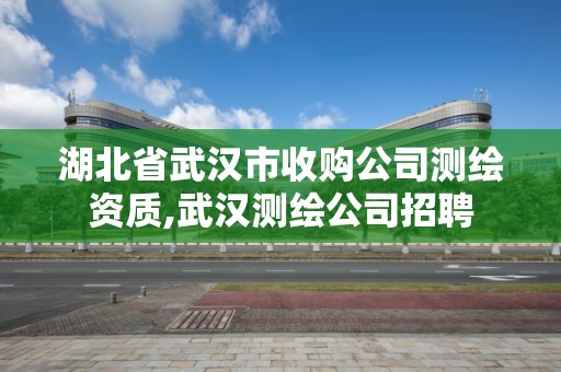 湖北省武汉市收购公司测绘资质,武汉测绘公司招聘