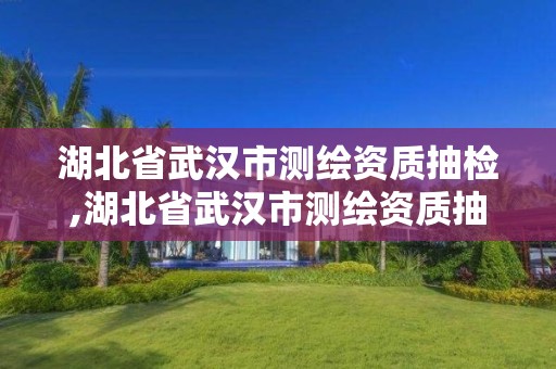 湖北省武汉市测绘资质抽检,湖北省武汉市测绘资质抽检机构名单