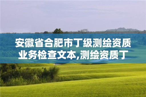 安徽省合肥市丁级测绘资质业务检查文本,测绘资质丁级是什么意思。