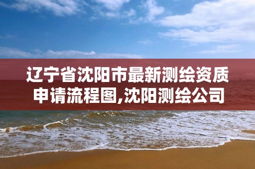 辽宁省沈阳市最新测绘资质申请流程图,沈阳测绘公司电话。