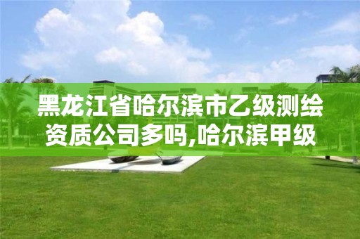 黑龙江省哈尔滨市乙级测绘资质公司多吗,哈尔滨甲级测绘公司