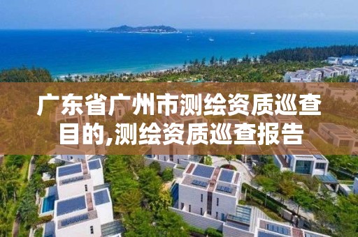 广东省广州市测绘资质巡查目的,测绘资质巡查报告