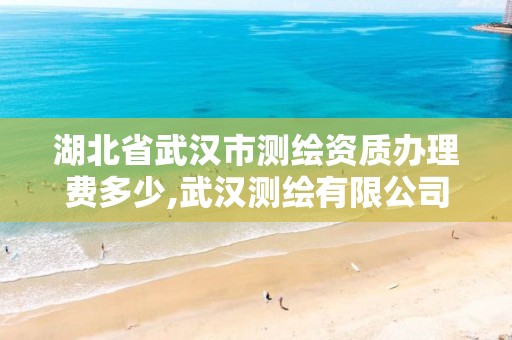 湖北省武汉市测绘资质办理费多少,武汉测绘有限公司