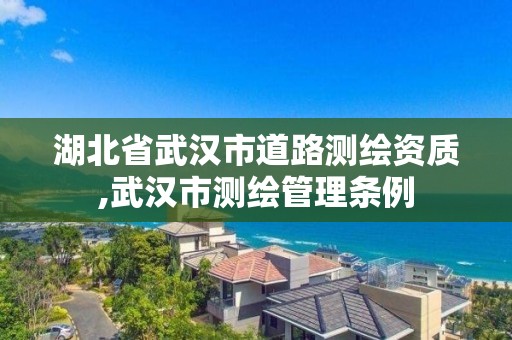 湖北省武汉市道路测绘资质,武汉市测绘管理条例