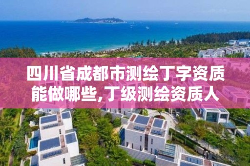 四川省成都市测绘丁字资质能做哪些,丁级测绘资质人员要求