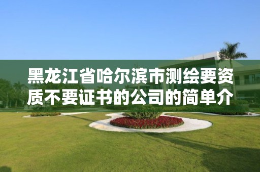 黑龙江省哈尔滨市测绘要资质不要证书的公司的简单介绍