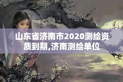 山东省济南市2020测绘资质到期,济南测绘单位