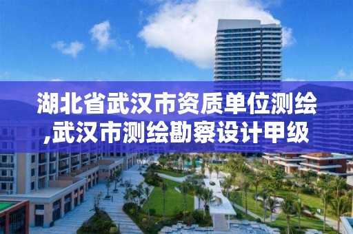 湖北省武汉市资质单位测绘,武汉市测绘勘察设计甲级资质公司